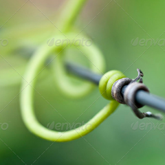正规的充值渠道求的网页攻击软件